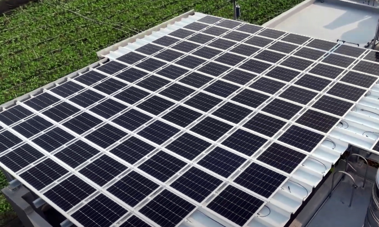 Maxman | 万博SunSteel光電浪板升級雙玻結構，以提升機械負載強度及氣候耐候度，可廣泛運用於多元場域